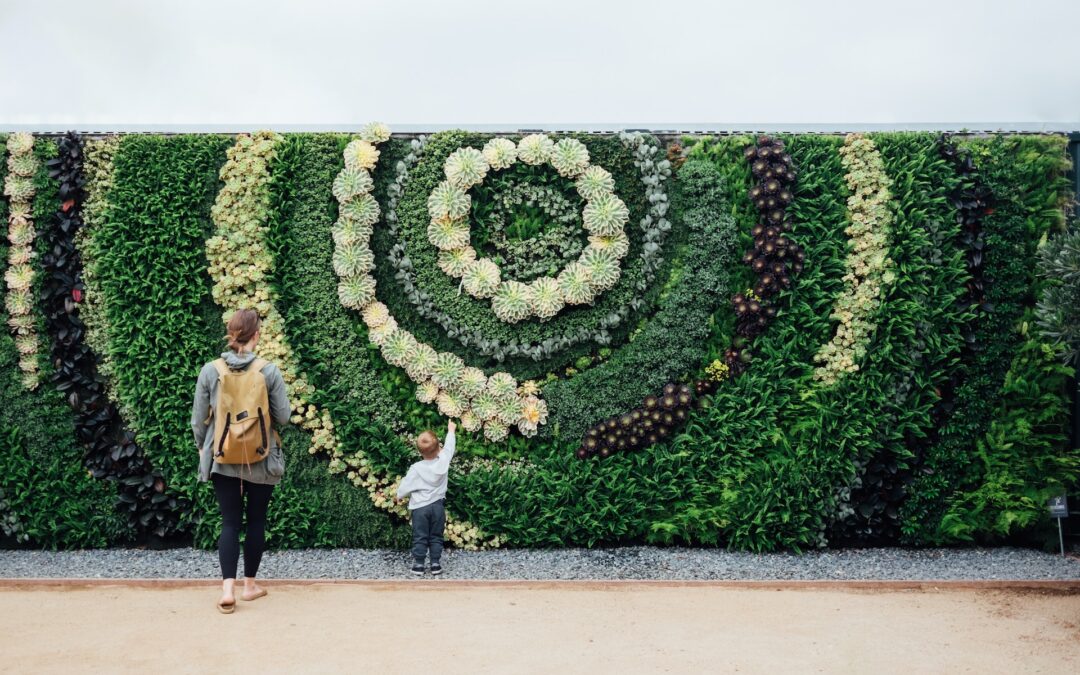 Comment réaliser l’étanchéité de son mur végétal avec succès ?