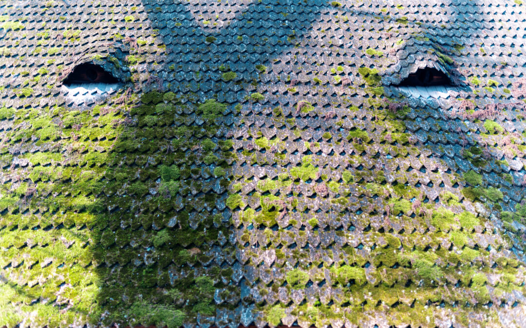 Étanchéité d’une toiture végétalisée : guide complet